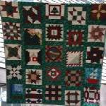 nifty fifty quilters 50 state quilt