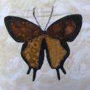 arizona butterfly quilt block