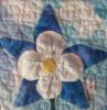 colorado state flower quilt block