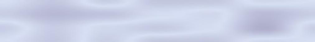 nifty fifty quilters of america