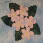massachusetts mayflower quilt block