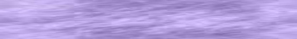 nifty fifty quilters of america