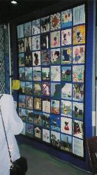 nifty fifty sunbonnet sue 50 state quilt