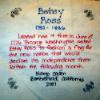 betsy ross quilt block