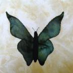 conneticut buttefly quilt block