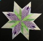 carol doaks idaho star quilt block