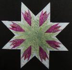 carol doaks illnois star quilt block