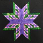 carol doaks michigan star quilt block